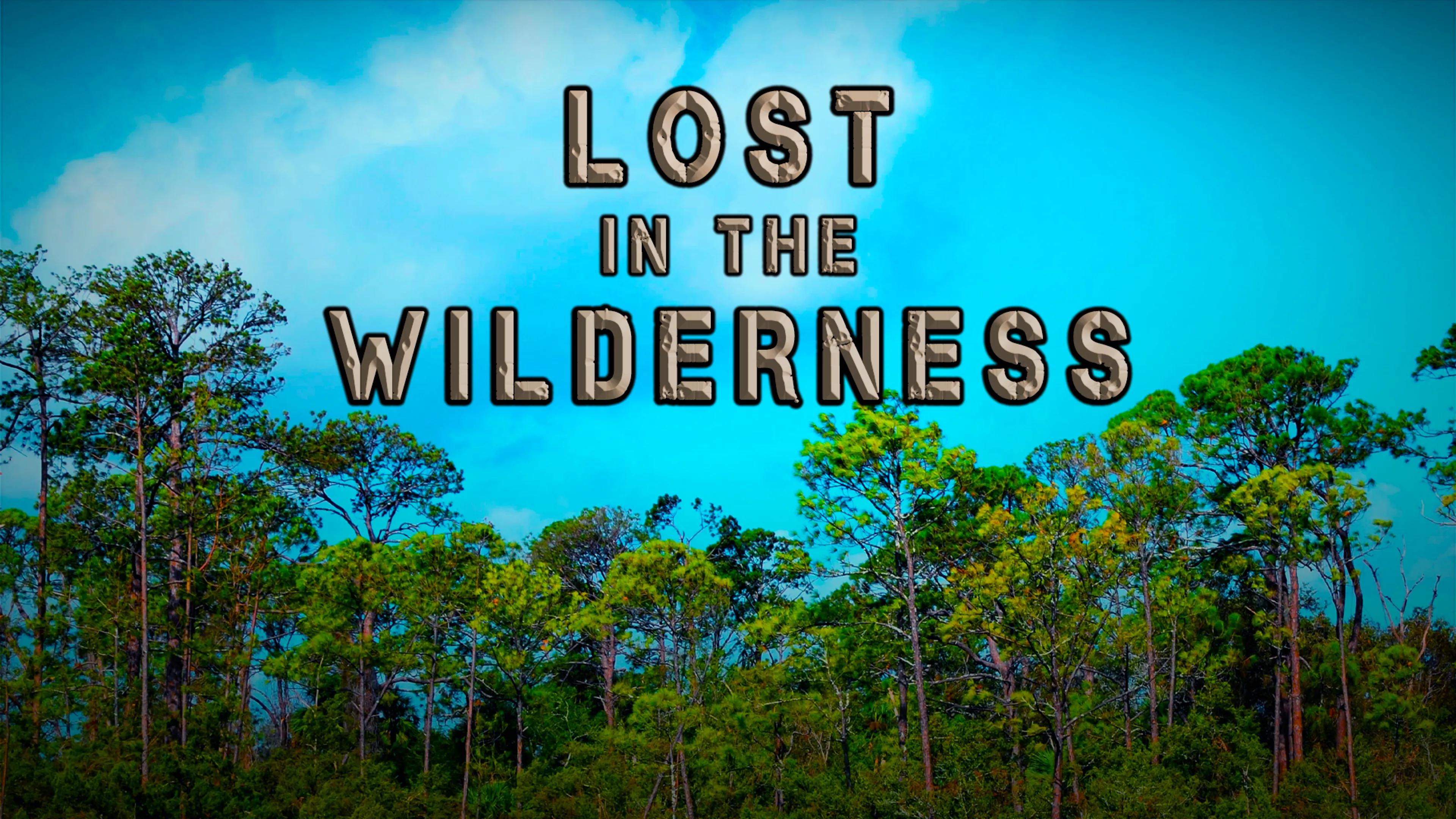 Lost in the Wilderness poster